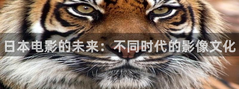 橘子视频直播下载：日本电影的未来：不同时代的影像文化
