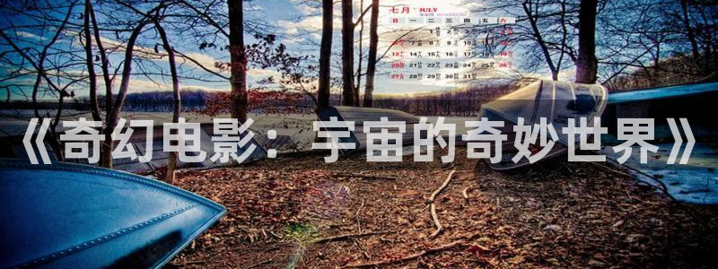 橘子视频app下载：《奇幻电影：宇宙的奇妙世界》