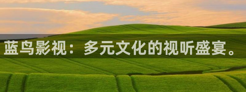 橘子与橙子：蓝鸟影视：多元文化的视听盛宴。