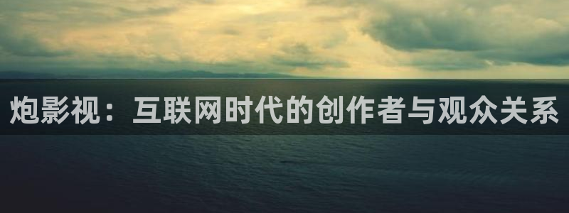 橘子了：炮影视：互联网时代的创作者与观众关系
