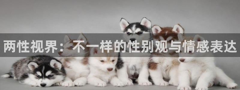 橘子视频苹果版下载：两性视界：不一样的性别观与情感表达