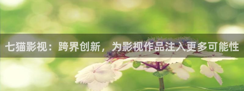 橘子和桔子：七猫影视：跨界创新，为影视作品注入更多可能性