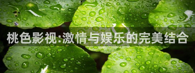 橘子视频在线观看免费完整版：桃色影视:激情与娱乐的完美结合