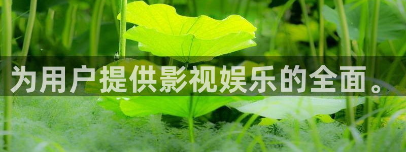 橘子影视在哪下载：为用户提供影视娱乐的全面。